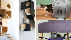 25 Idees Pour Agrementer Le Quotidien De Tous Les Chats